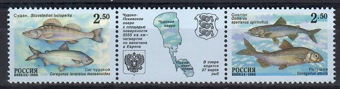 Znaczek Rosja 2000 Mi 861-862 Czyste **