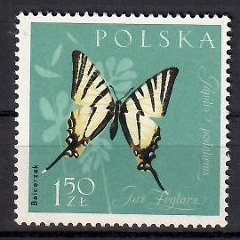 Znaczek Polska 1962 Mi 1285 Fi 1140 Czyste **