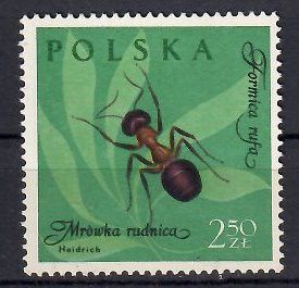 Znaczek Polska 1961 Mi 1287 Fi 1142 Czyste **