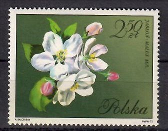 Znaczek Polska 1971 Mi 2138 Fi 1991 Czyste **
