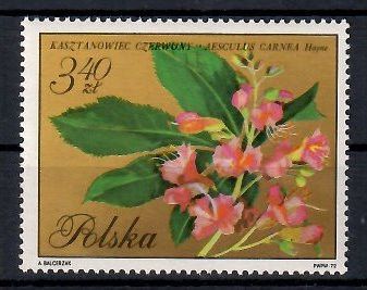 Znaczek Polska 1971 Mi 2139 Fi 1992 Czyste **