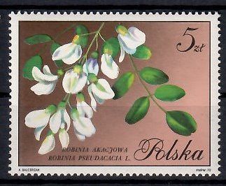 Znaczek Polska 1971 Mi 2140 Fi 1993 Czyste **