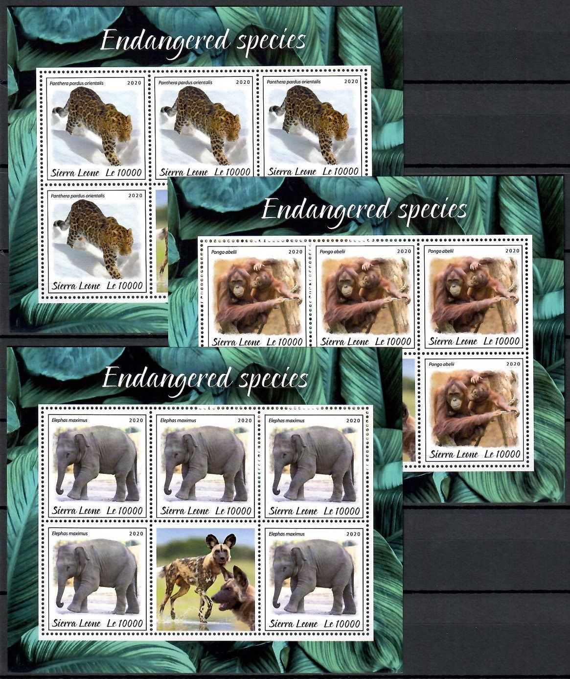Znaczek Sierra Leone 2020 Mi ark 12126-12128 Czyste **