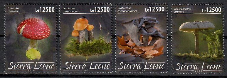 Znaczek Sierra Leone 2020 Mi 12206-12209 Czyste **