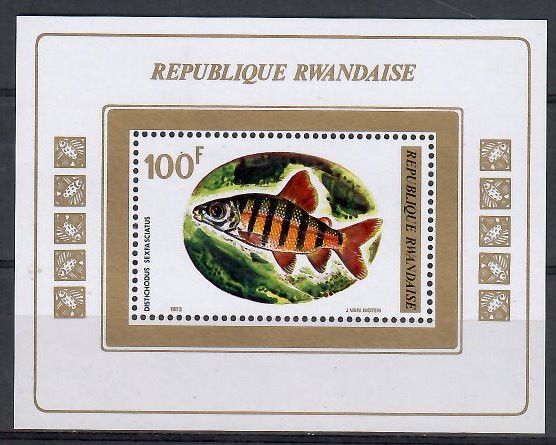 Znaczek Rwanda 1973 Mi bl 33 Czyste **