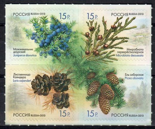 Znaczek Rosja 2013 Mi 1914-1917 Czyste **