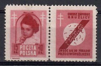 Znaczek Polska 1948 Mi 514 pw3 Fi 488 pw3 Bez kleju ( * )
