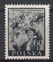 Znaczek Polska 1954 Mi 871 Fi 731 Bez kleju ( * )