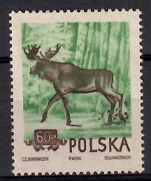 Znaczek Polska 1954 Mi 886 Fi 744B Bez kleju ( * )