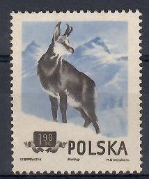 Znaczek Polska 1954 Mi 887 Fi 745B Bez kleju ( * )