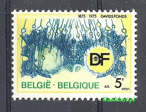 Znaczek Belgia 1975 Mi 1809 Czyste **