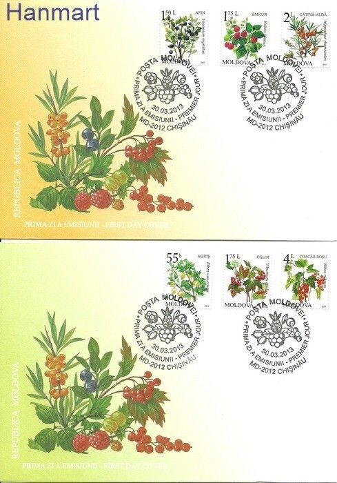 Znaczek Mołdawia 2013 Mi 823-828 FDC