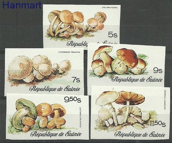 Znaczek Gwinea 1977 Czyste **