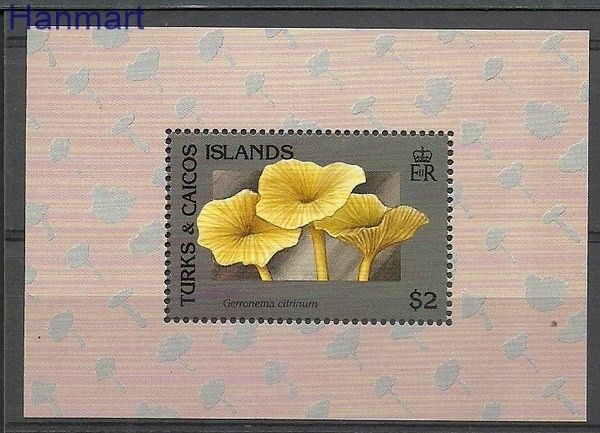 Znaczek Turks i Caicos 1991 Mi bl 105 Czyste **