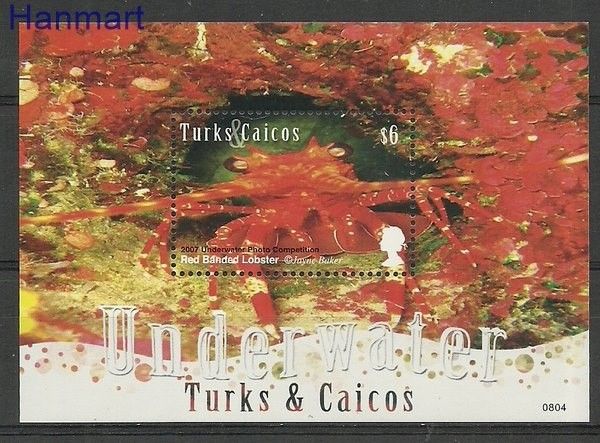 Znaczek Turks i Caicos 2008 Mi bl 239 Czyste **
