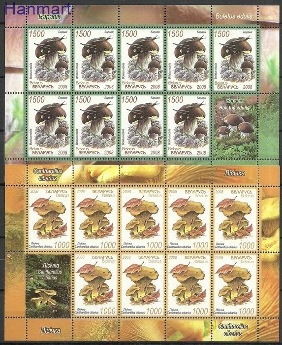 Znaczek Białoruś 2008 Mi ark 720-721 Czyste **