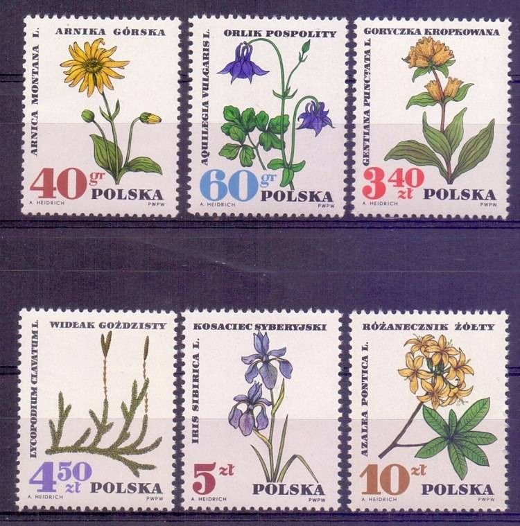 Znaczek Polska 1967 Mi 1770-1775 Fi 1623-1628 Czyste **