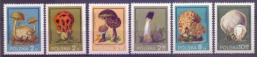 Znaczek Polska 1980 Mi 2693-2698 Fi 2545-2550 Czyste **