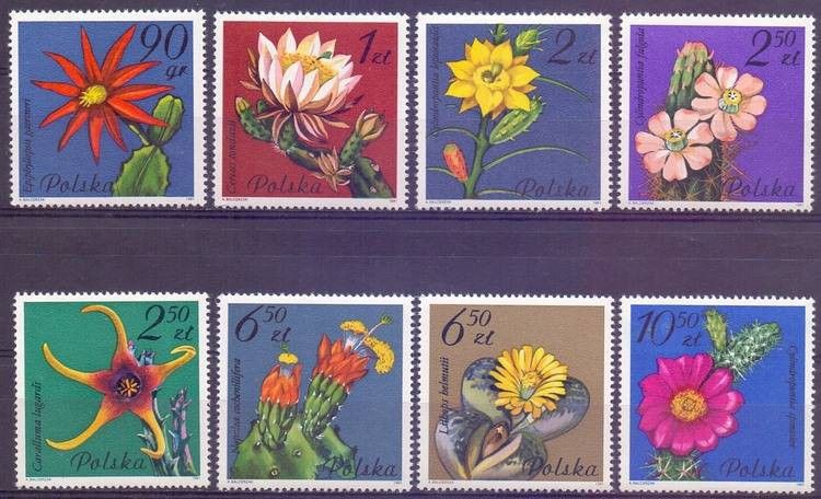 Znaczek Polska 1981 Mi 2784-2791 Fi 2636-2643 Czyste **