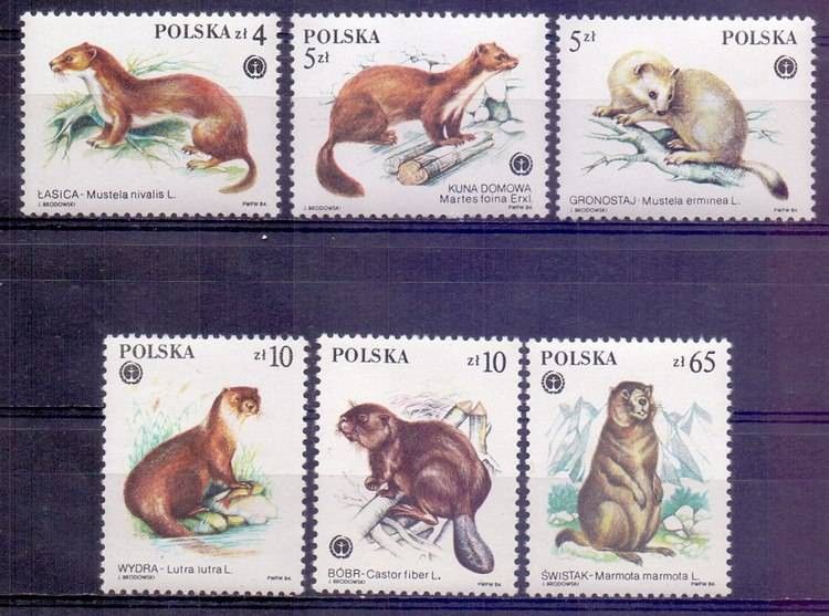 Znaczek Polska 1984 Mi 2946-2951 Fi 2798-2803 Czyste **