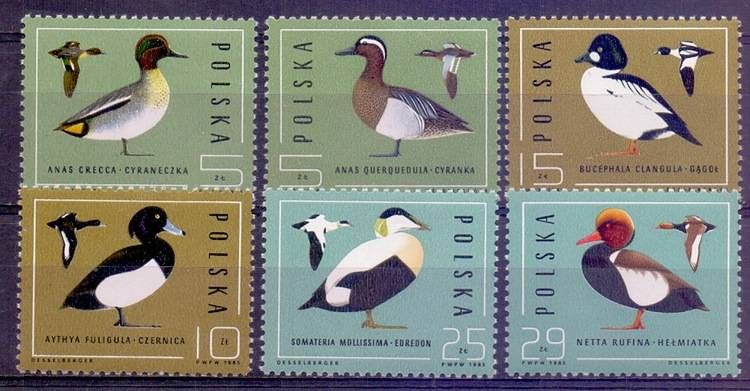 Znaczek Polska 1985 Mi 2998-3003 Fi 2850-2855 Czyste **